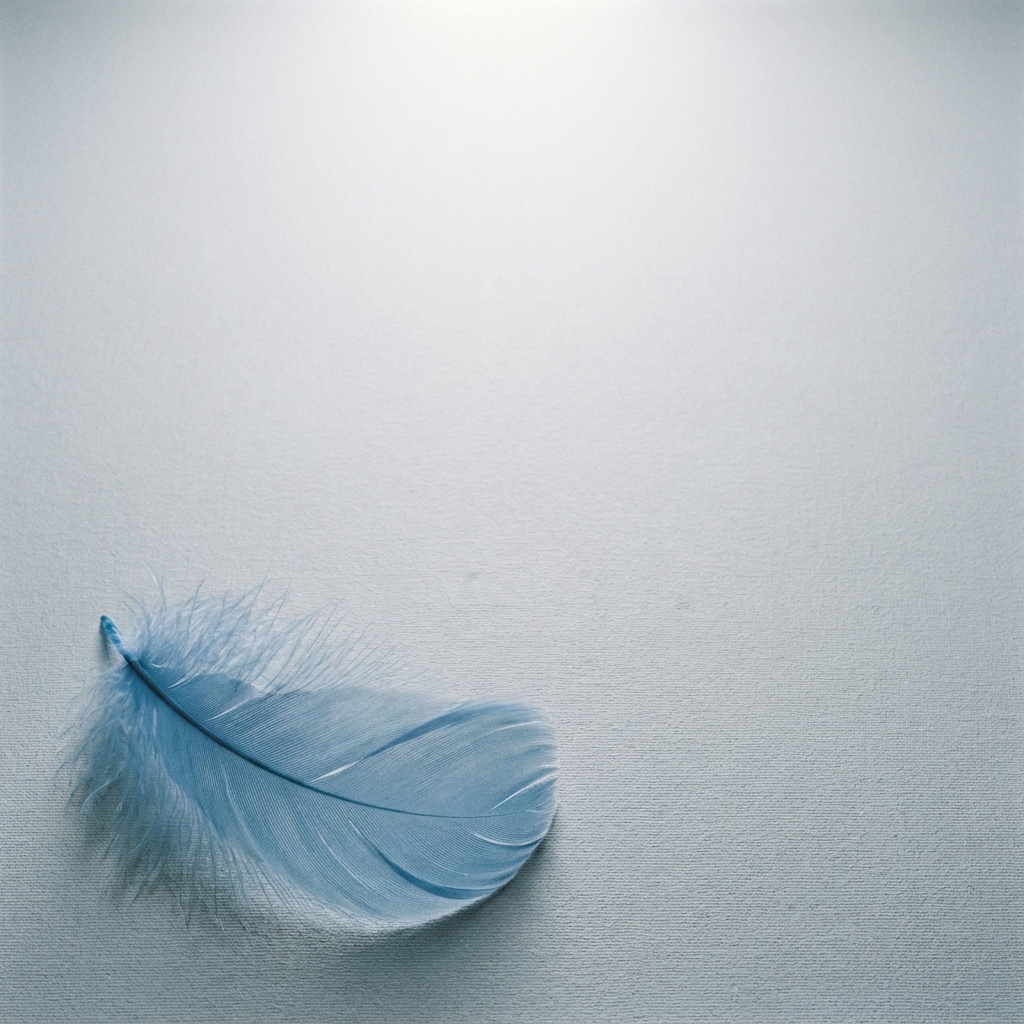 柔らかな羽の舞